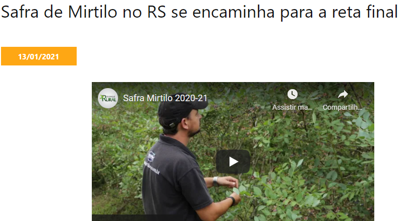 Matéria Exibida no Portal da Revista Destaque Rural “Safra do Mirtilo no RS se Encaminha para a reta Final”